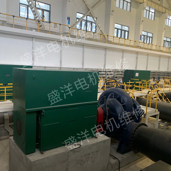 池州大型电机修理公司